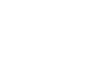 IPPH Impact Report logo