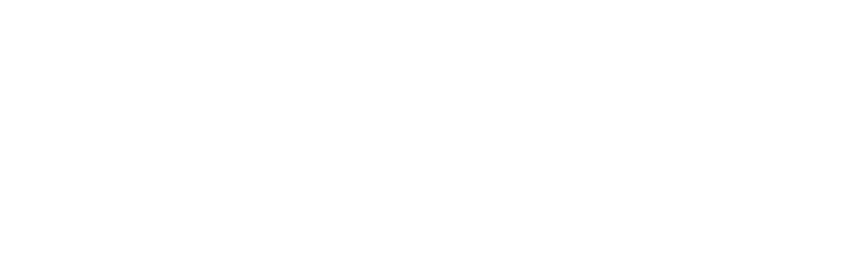 Sound climate governance for a net-zero future logo
